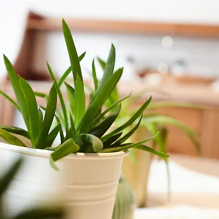 Haus Sepp Gruber 圣安东阿尔贝格