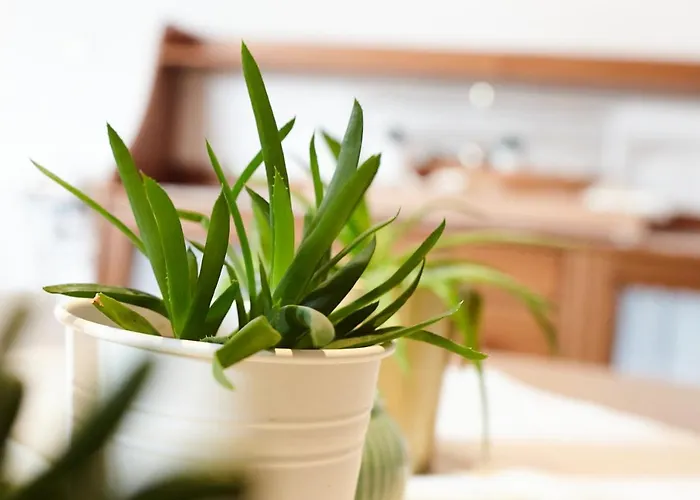 Haus Sepp Gruber St. Anton am Arlberg